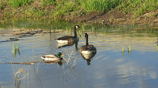 Park «RiverEdge Park», reviews and photos, 360 N Broadway, Aurora, IL 60505, USA