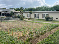 The Gardens of Waterford - Photo 9 - Car repair in Montgomery, AL, Montgomery