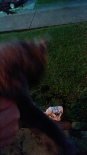 Pet Supply Store «Pet Partners», reviews and photos, 1962 W State St, Bristol, TN 37620, USA