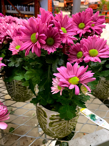 Home Improvement Store «The Home Depot», reviews and photos, 680 Kifer Rd, Sunnyvale, CA 94086, USA