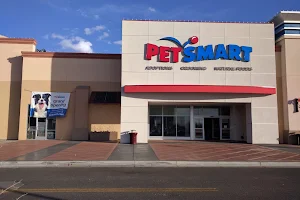 PetSmart image