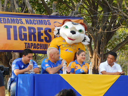 Academia De Futbol Tigres Tapachula