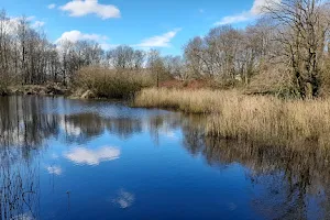 Six Mile Water Park Duck Pond Observation Deck image