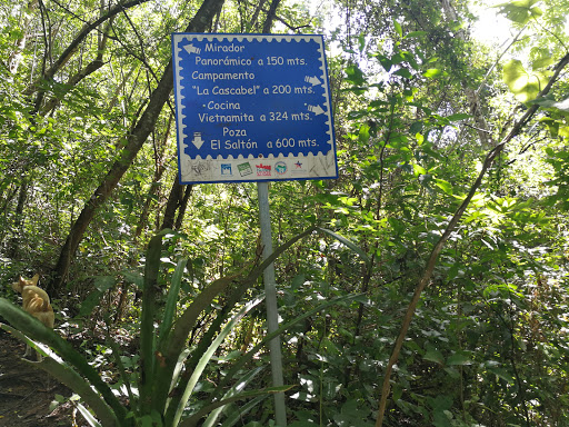 Bosque De Cinquera Ecological Park