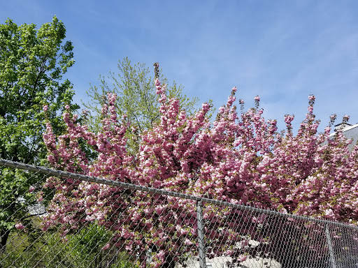 Art Supply Store «Artist & Craftsman Supply Bushwick», reviews and photos, 1449 Broadway, Brooklyn, NY 11221, USA