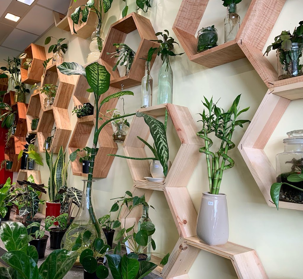 The Plant Studio Juneau, AK 99801 Location, Reviews, Hours and