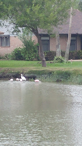 Golf Course «River Bend Resort & Golf Club», reviews and photos, 4541 US-281, Brownsville, TX 78520, USA