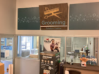 Petco - Photo 2 - Car repair in Pueblo, CO, Pueblo