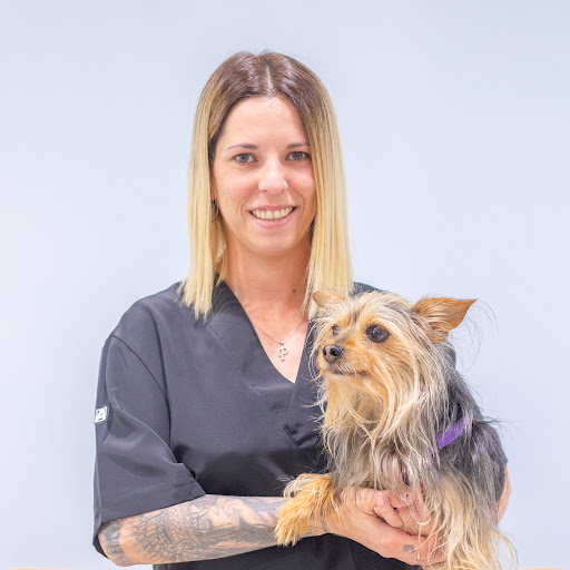 Clínica Veterinaria Marcel Gusta en La Garriga