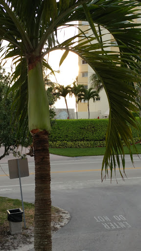 Bar «Beach Box Cafe», reviews and photos, 9020 Gulf Shore Dr, Naples, FL 34108, USA