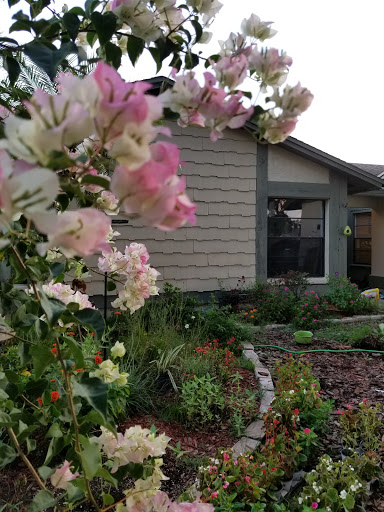 Hardware Store «Vision Ace Hardware», reviews and photos, 8538 Gunn Hwy #10, Odessa, FL 33556, USA