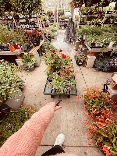 Plant Nursery «Sturtz & Copeland Florist & Greenhouses», reviews and photos, 2851 Valmont Rd, Boulder, CO 80301, USA