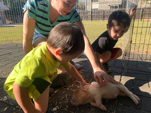 Preschool «Daddy Daycare & Preschool», reviews and photos, 7701 N Richland Blvd, North Richland Hills, TX 76180, USA