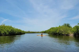 Robinson Preserve image