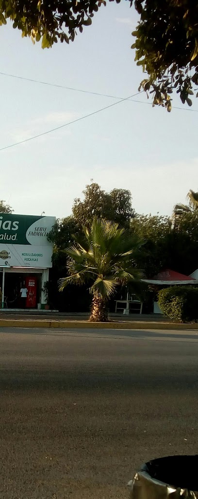 Carnitas Estilo Michoacan