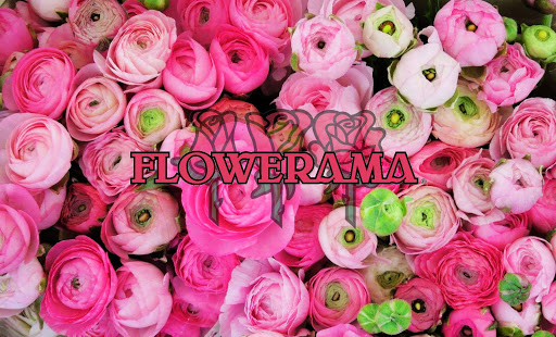 Florist «Flowerama», reviews and photos, 1676 Lexington Pkwy N, St Paul, MN 55117, USA