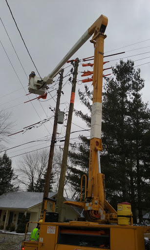 Nature Preserve «Jefferson Memorial Forest», reviews and photos, 11311 Mitchell Hill Rd, Fairdale, KY 40118, USA