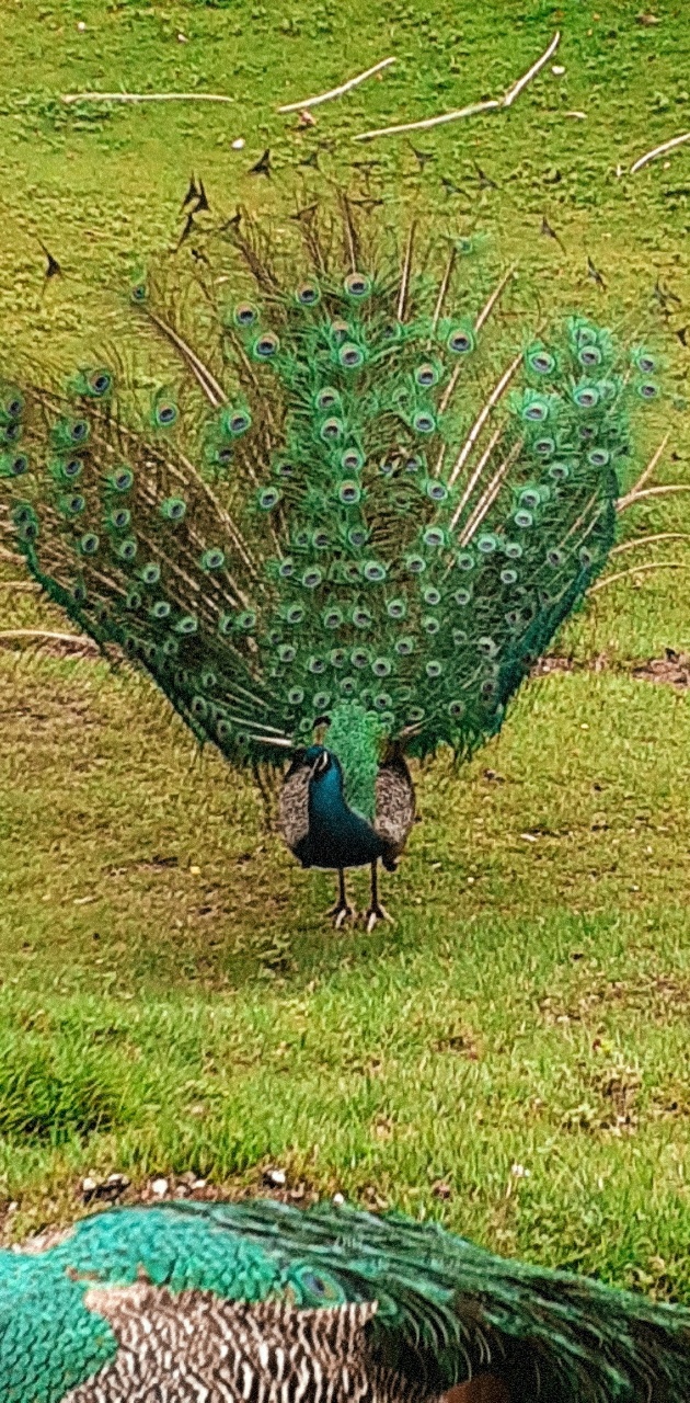 Photo n° 31 de l'avis de Ciccio.e fait le 28/07/2020 à 01:20