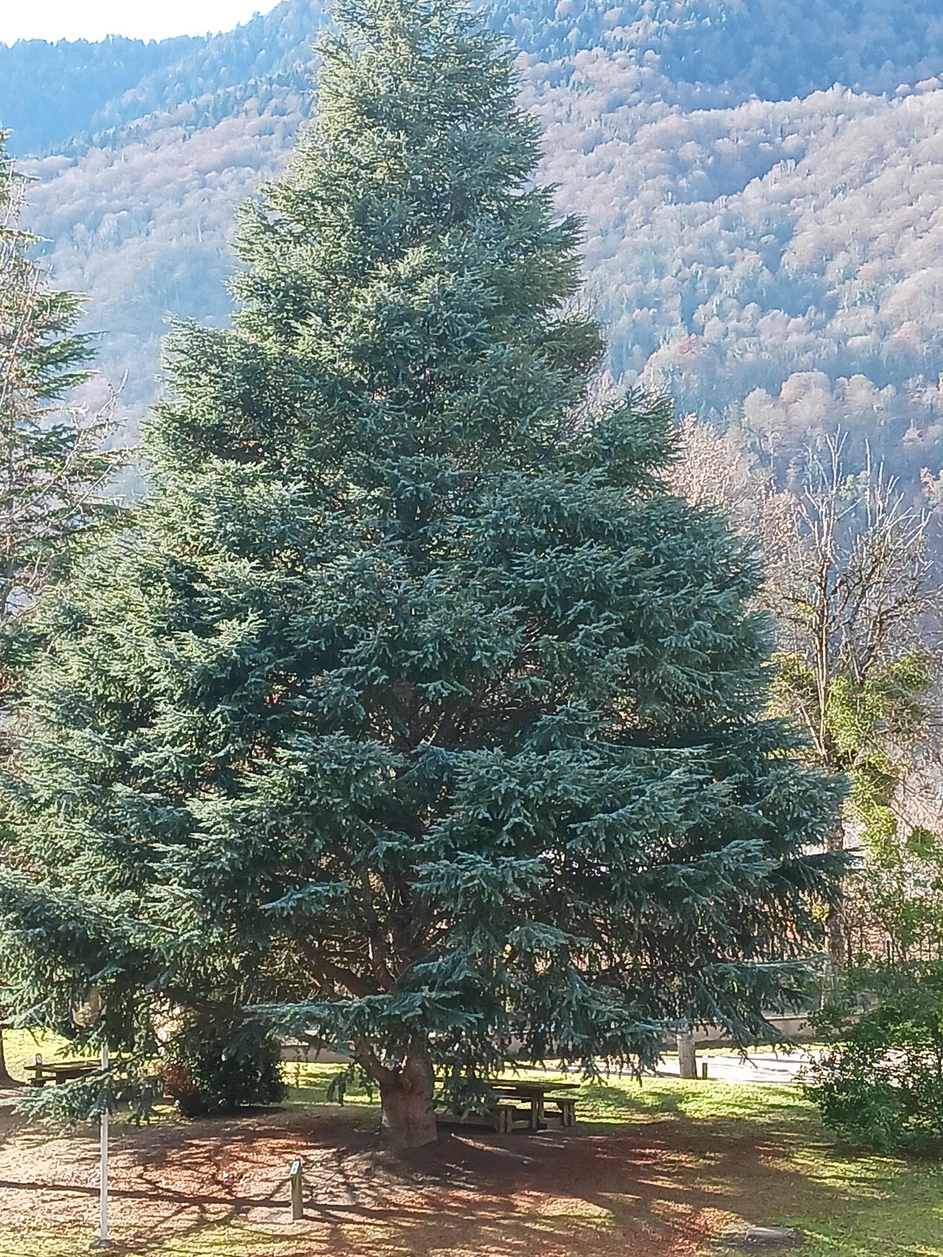 Photo n° 2 de l'avis de Régine.H fait le 05/01/2024 à 17:13