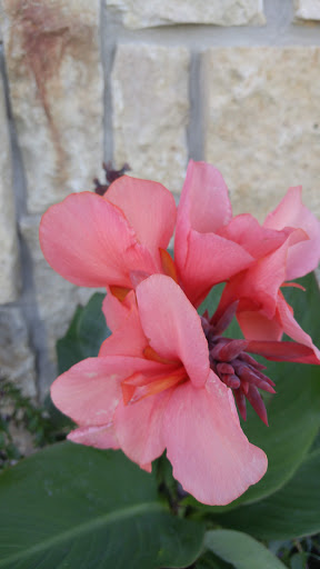 Golf Club «Makray Memorial Golf Club», reviews and photos, 1010 S Northwest Hwy, Barrington, IL 60010, USA