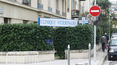Cabinet Vétérinaire Le Phébus à Nice