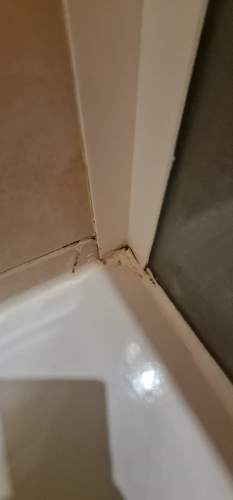 Photo n° 17 de l'avis de Fadella.R fait le 21/08/2021 à 23:35