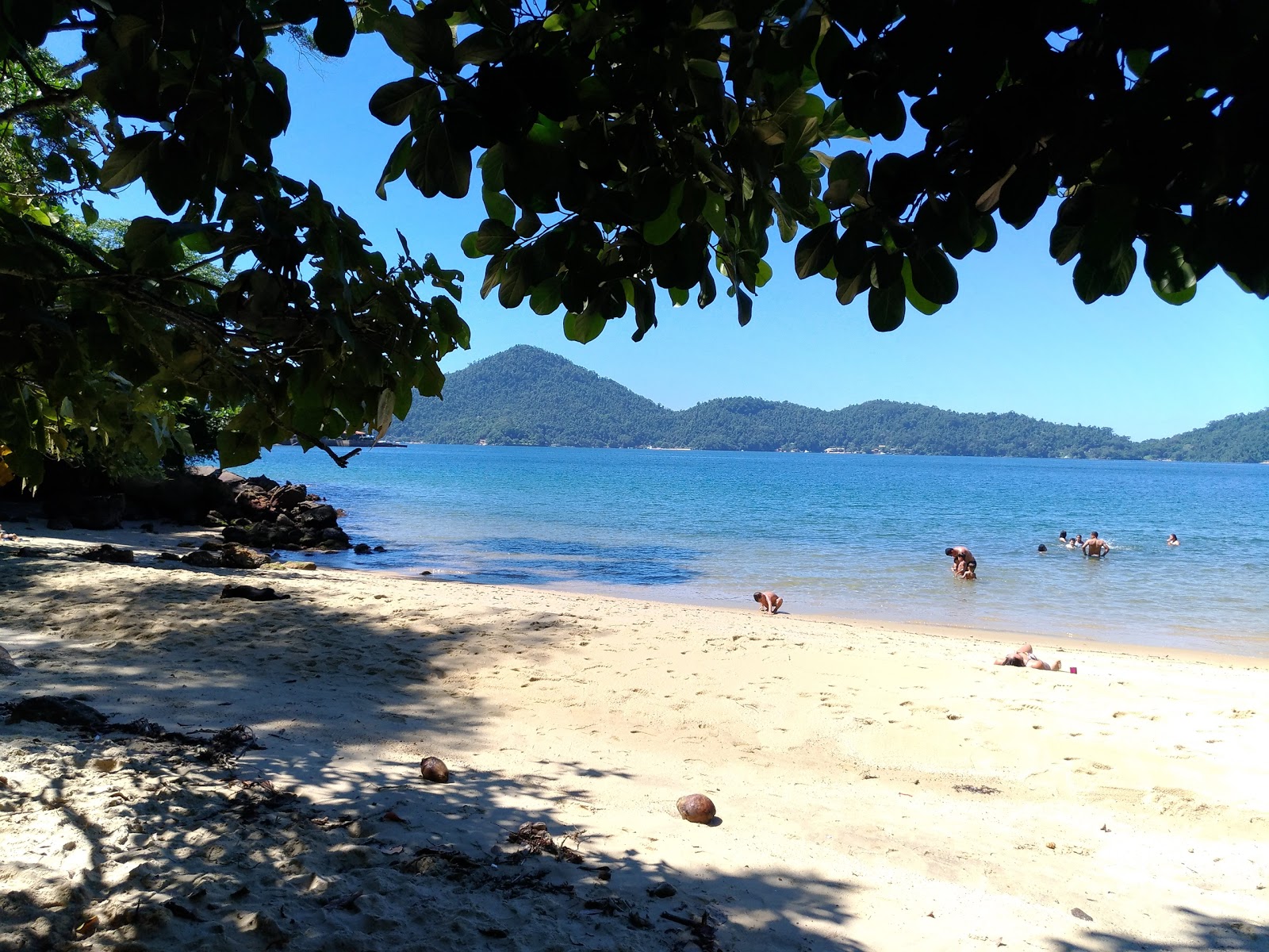 Foto de Praia da Bica área selvagem