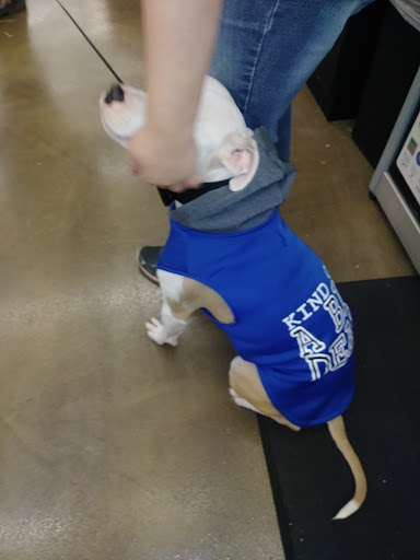 Pet Supply Store «Pet Supplies Plus», reviews and photos, 6030 Central Ave Suite A, Portage, IN 46368, USA