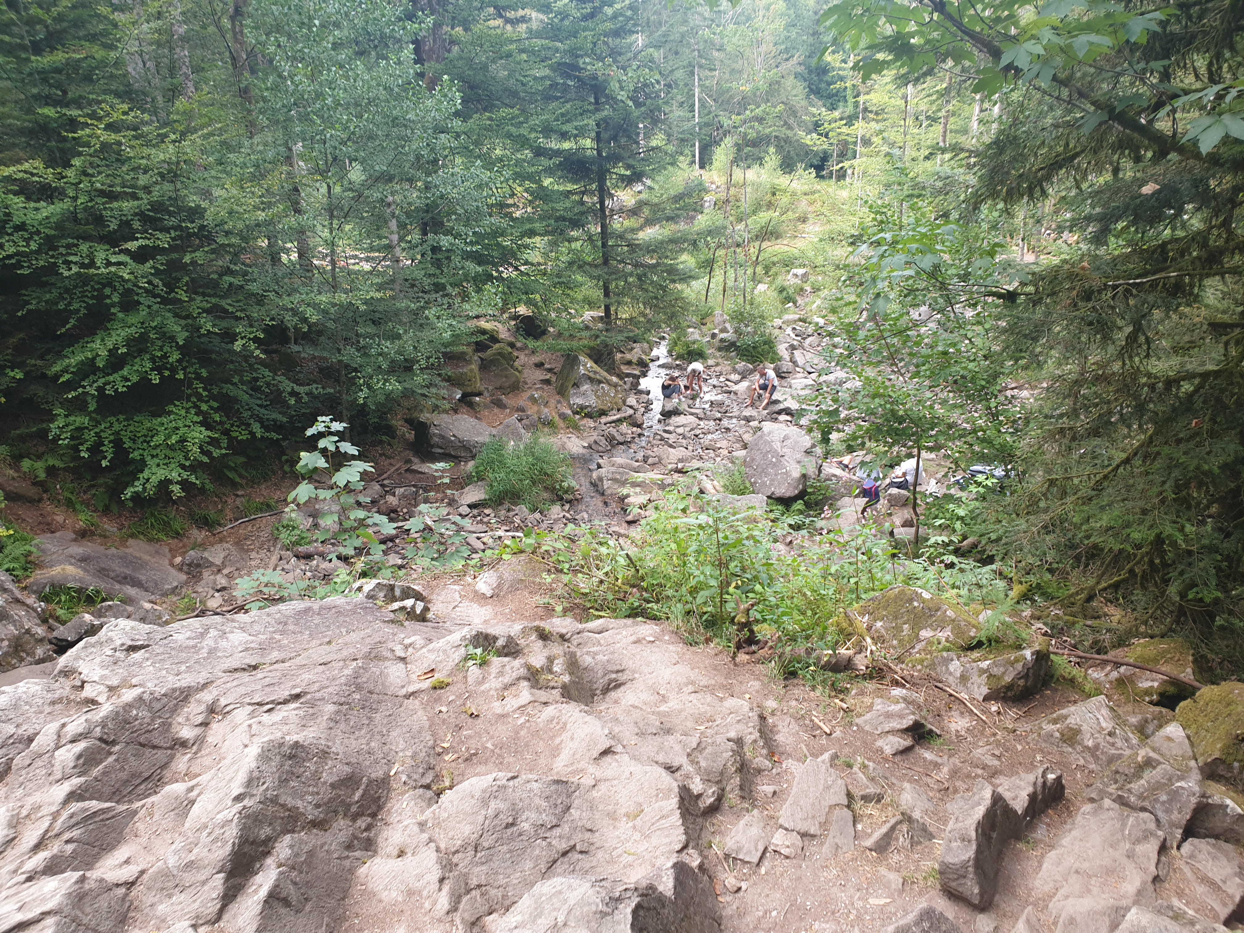 Photo n° 1 de l'avis de Jean.l fait le 14/08/2020 à 15:46