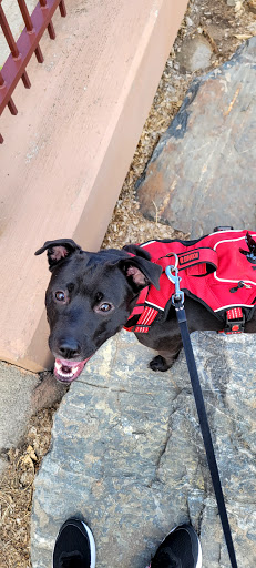 Park «The Ralston-Central Park», reviews and photos, 5850 Garrison St, Arvada, CO 80002, USA