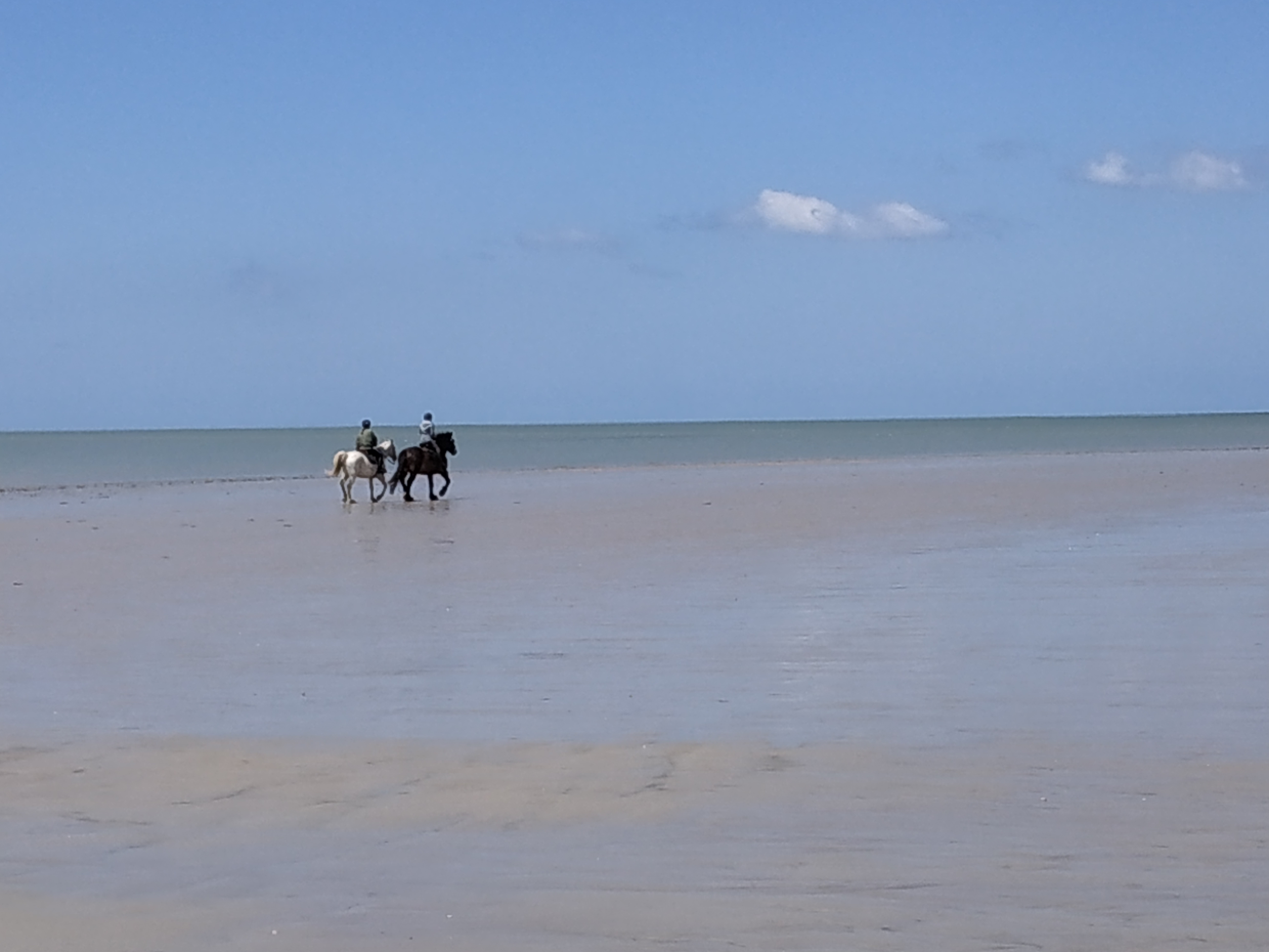 Photo n° 7 de l'avis de Stef. fait le 05/05/2019 à 12:59