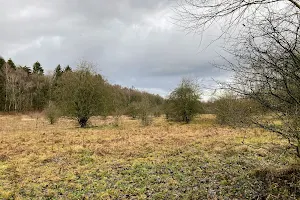 Höltigbaum Nature Reserve image