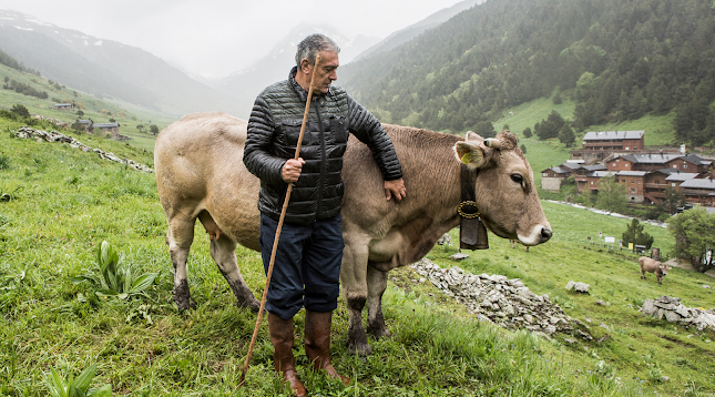 Opinii despre Ramaders d'Andorra în Andorra la Vella - Supermercado