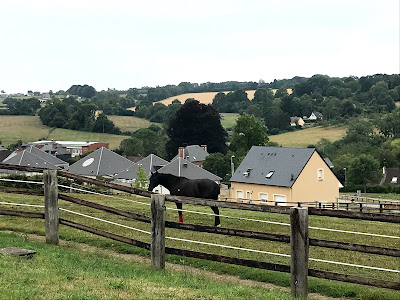 HARAS DE SAINT JEAN à Cambremer