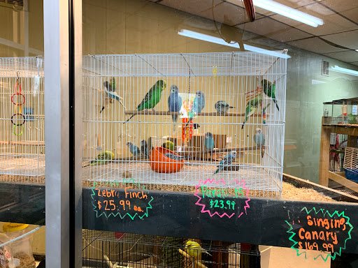 Pet Store «Southside Pet Shop», reviews and photos, 7031 Southside Dr, Louisville, KY 40214, USA