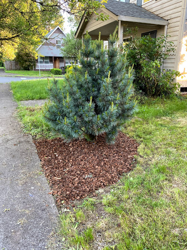 House Cleaning Service «Molly Maid of Greater Vancouver», reviews and photos, 2515 E Evergreen Blvd, Vancouver, WA 98661, USA