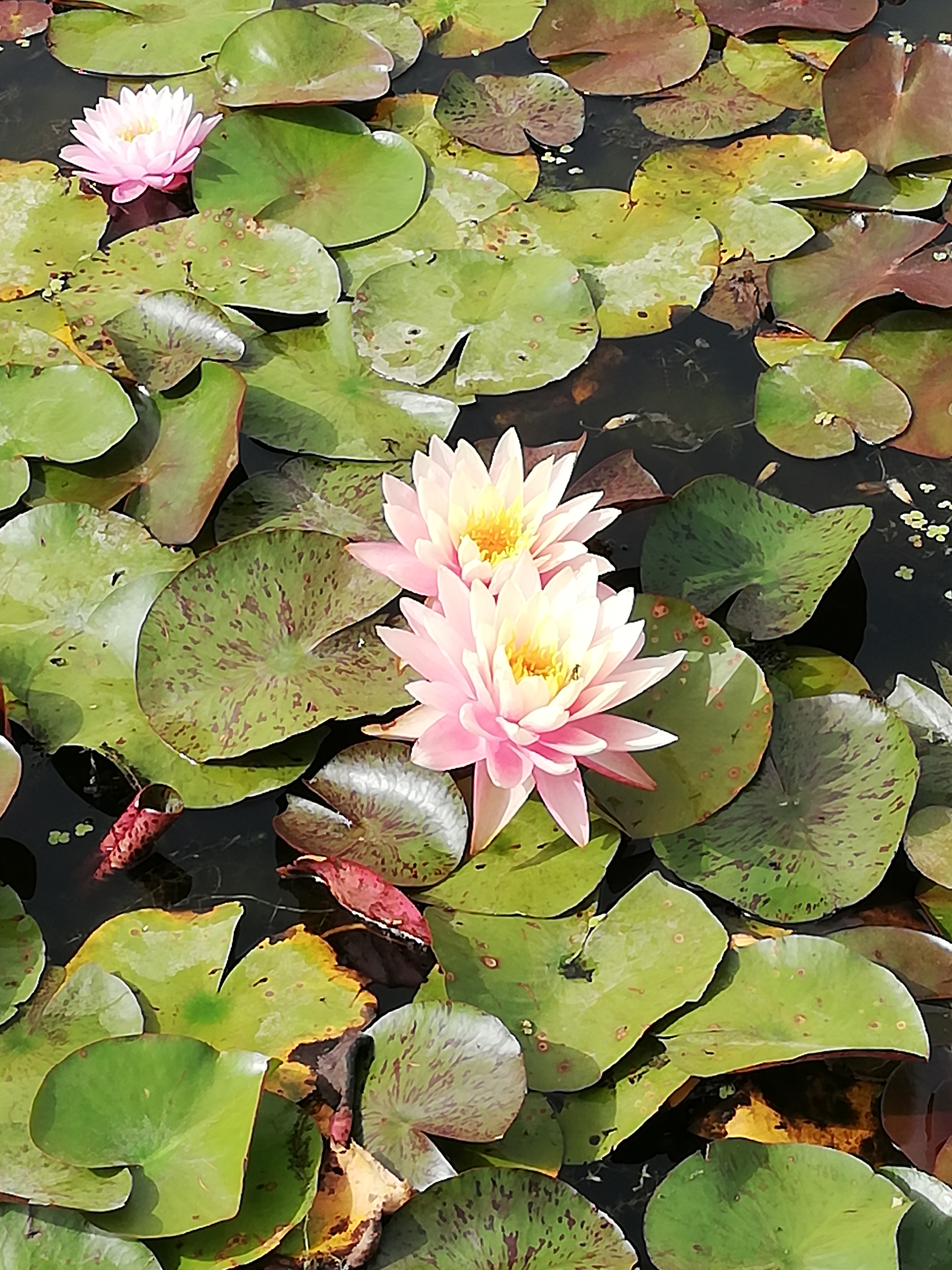 Photo n° 8 de l'avis de Sandrine.i fait le 05/09/2023 à 15:38