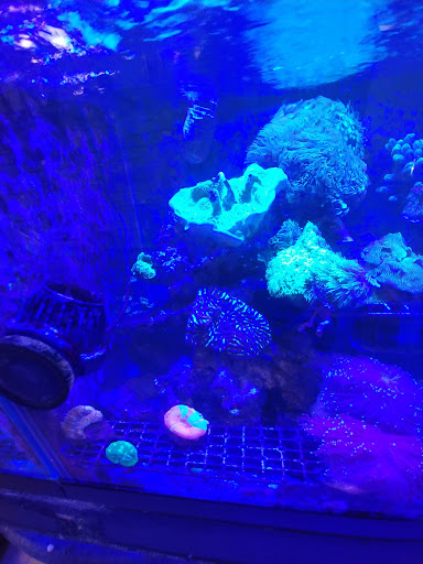 Aquarium «Aquarium Specialties & Research Center», reviews and photos, 235 Lancaster Ave, Malvern, PA 19355, USA