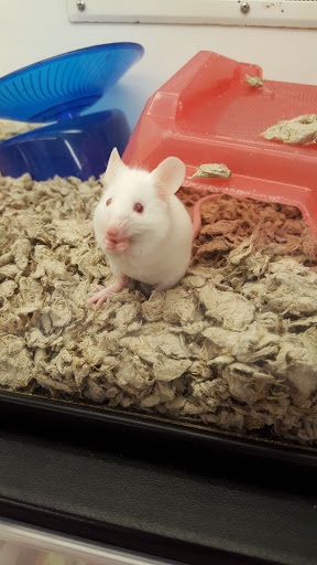 Pet Supply Store «Petco Animal Supplies», reviews and photos, 1970 S Robert St, West St Paul, MN 55118, USA