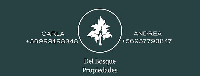 Opiniones de Del Bosque Propiedades en Valparaíso - Agencia inmobiliaria