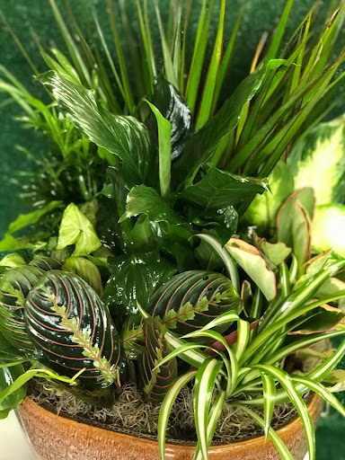 Florist «Roses are Red Flower Boutique», reviews and photos, 9303 S Halsted St, Chicago, IL 60620, USA