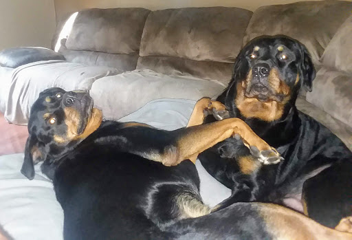 Animal Feed Store «Family Pet Food Center», reviews and photos, 1228 S Military Ave, Green Bay, WI 54304, USA