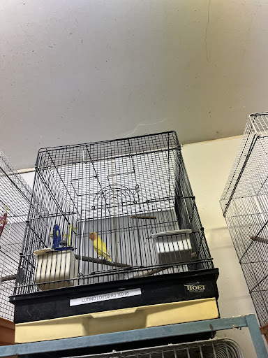 Tropical Fish Store «Midway Tropical Fish & Pets», reviews and photos, 24101 Pacific Hwy S, Kent, WA 98032, USA