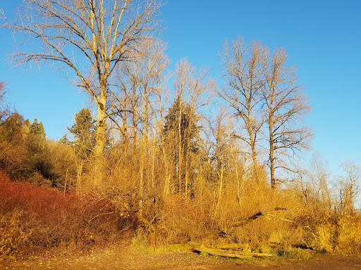 Park «Mary S. Young Park», reviews and photos, 19900 Willamette Dr, West Linn, OR 97068, USA
