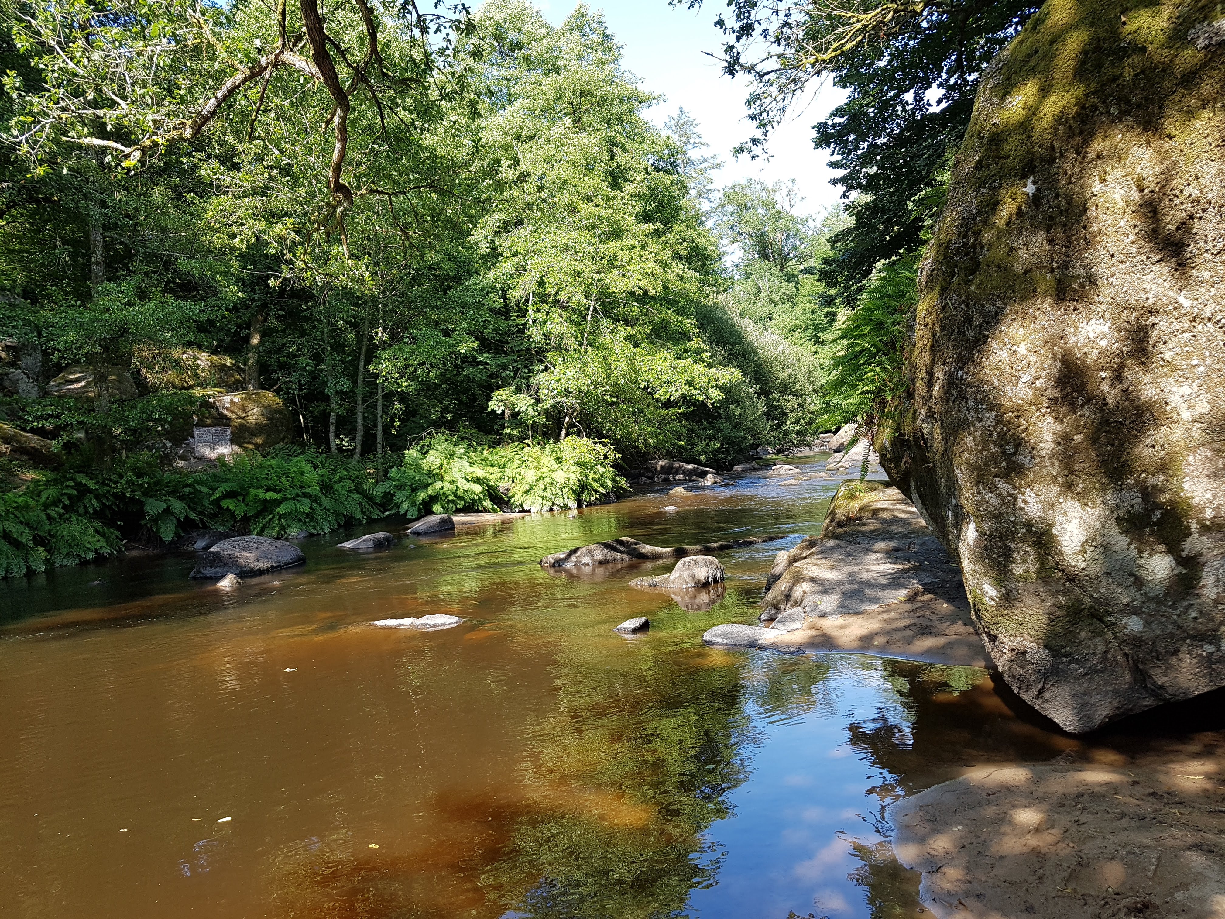 Photo n° 1 de l'avis de Sèverine.o fait le 23/07/2018 à 15:50