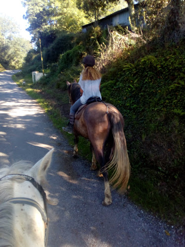 Association Randonnées Equestres Juniors FC à Montaut