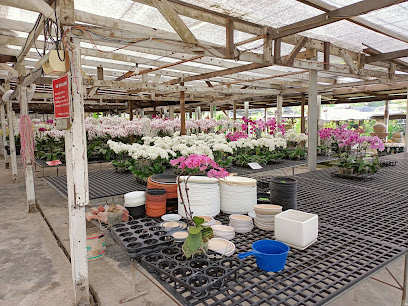 Orchid grower