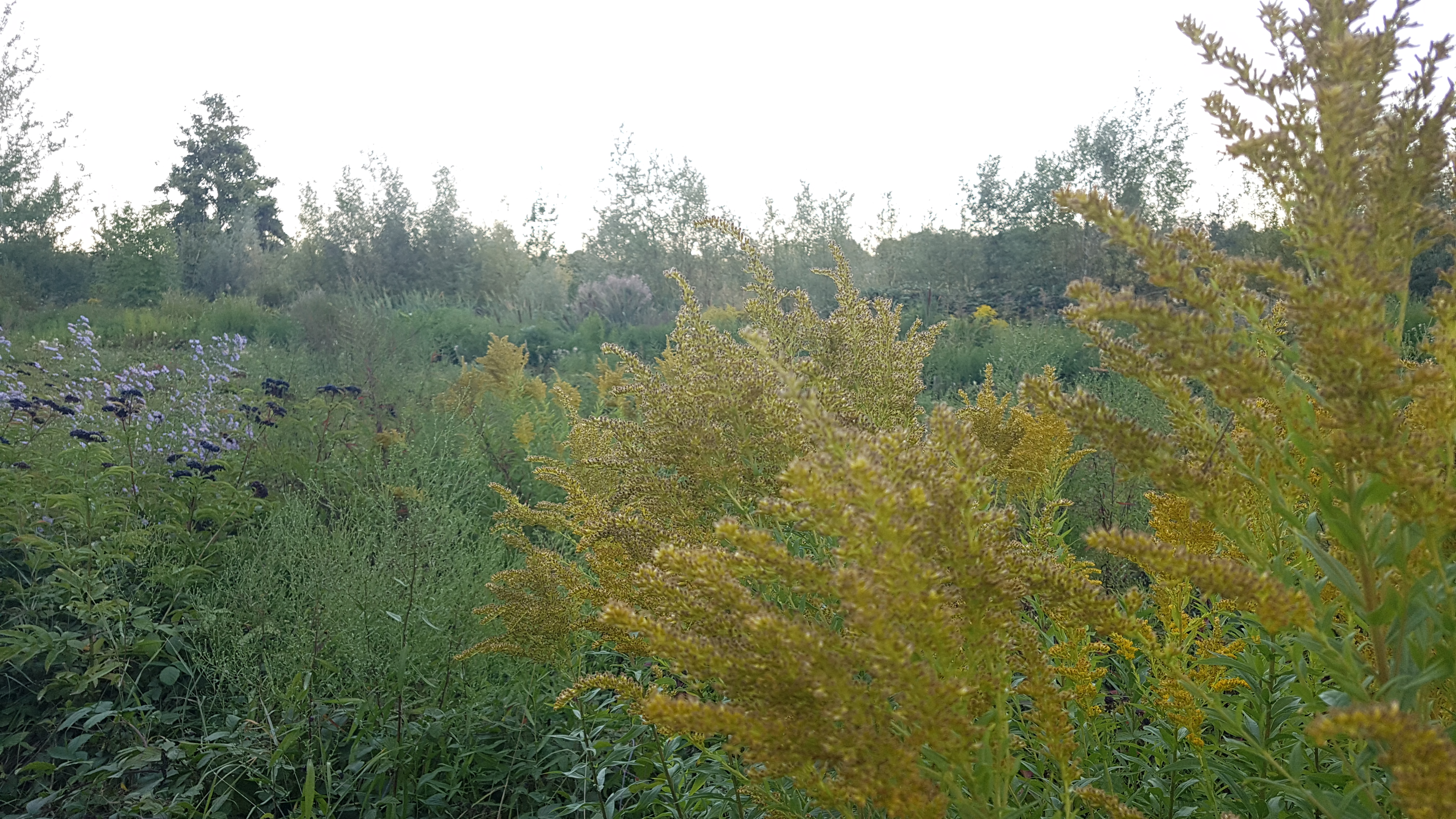 Photo n° 1 de l'avis de Sanjy.u fait le 20/09/2019 à 13:45