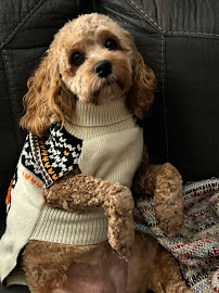 Central Bark Falls Township - Photo 3 - Car repair in Fairless Hills, PA, Trenton