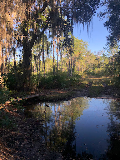 Nature Preserve «Triple Creek Nature Preserve», reviews and photos, 13112 Balm Boyette Rd, Riverview, FL 33579, USA